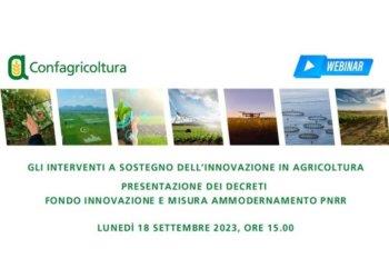 Webinar  sui decreti Fondo Innovazione e Misura ammodernamento PNRR